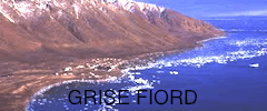 grise fiord