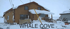 whale cove