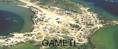 gameti