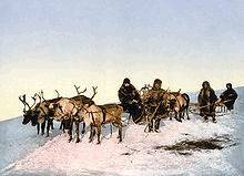 Reindeer Sleigh