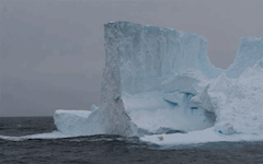 iceberg with polar bear