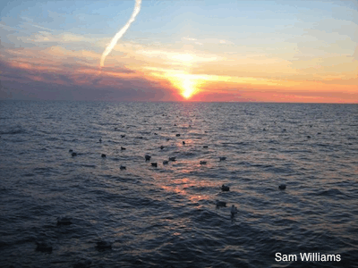 Arctic ocean sunset Arctic ocean sunset
