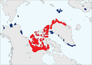 Muskox distribution map