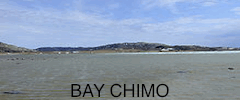 bay chimo