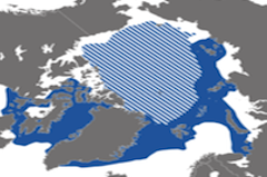 Narwhal Distribution Map