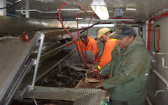 Turbot Processing