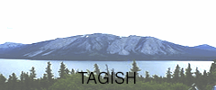 tagish