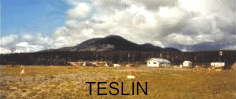 teslin